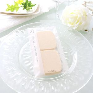Replacement puff for powder foundation