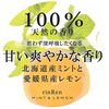 Scalp care treatment mint & lemon 400ml