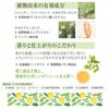 Scalp care treatment mint & lemon 400ml
