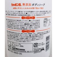 Additive-Free Body Wash, Rich Lather, Pump Bottle, 570 mL
