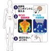 【第3類医薬品】ロイヒつぼ膏RT156 156枚