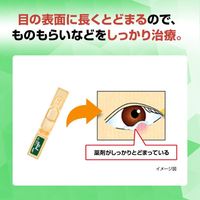 【제2류 의약품】 로토제약 항균 안약 i 0.5mL x 20개입
