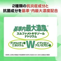 【제2류 의약품】 로토제약 항균 안약 i 0.5mL x 20개입