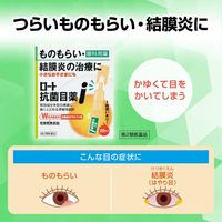 【제2류 의약품】 로토제약 항균 안약 i 0.5mL x 20개입