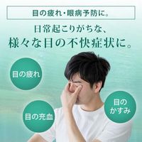 【제2류 의약품】로토제약 신 V·로토 20mL