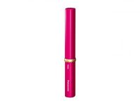 Ｐａｎａｓｏｎｉｃ　ＥＷ−ＤＳ１Ｃ−ＲＰ