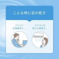 【제3류 의약품】 로토제약 신 나미다 로토 드라이아이 13mL
