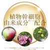 LITS Revival Line Zero Intensive Serum C 12g