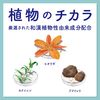 アクネスラボ　ウォッシングフォーム　１５０ｍｌ