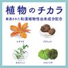 アクネスラボ　薬用ウォッシングＦ思春期用　１５０ｇ