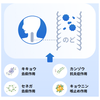 【第3類医薬品】龍角散