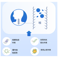 龍角散粉 【第3類醫藥品】