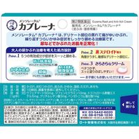 樂敦製藥 曼秀雷敦 敏感部位皮膚止癢消炎藥膏15g 【第2類醫藥品】