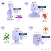 [指定第2類醫藥品] EVE A錠劑