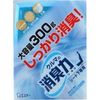 Car Deodorizer - Under Seat Double Squash 300g