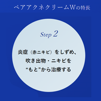 【第2類医薬品】ペアアクネクリームW