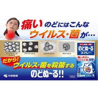 [3rd-Class OTC Drug] Spray for Sore throat - Large Size (25ml)