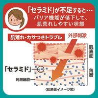 Curel 泡沫洗手液 [補充裝] 450ml
