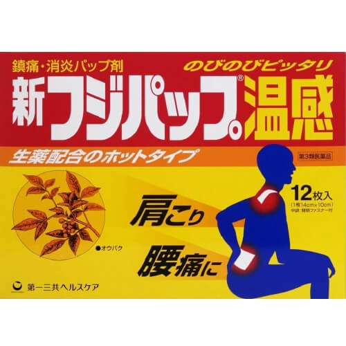 第一三共健康護理 FUJI HEATING PATCH 【第3類醫藥品】日本Fujipap 溫感止痛貼 12片