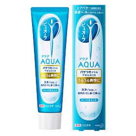 Pyuora Aqua Toothpaste Herbal Mint 100g