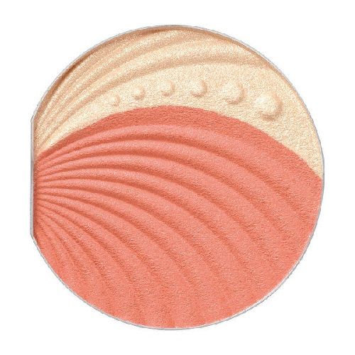 Orb Brush Cheek Set 03