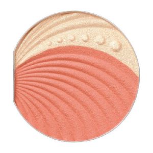 Orb Brush Cheek Set 03
