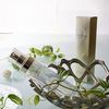 Clé de Peau Beauté 水润 C 乳液 170ml