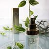 Clé de Peau Beauté 水润 C 乳液 170ml
