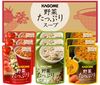 Kagome vegetable soup SO-30