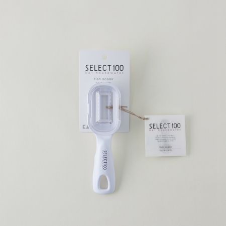 Select 100 Scale Remover DH5702