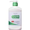 Gum Dental Rinse Regular Type 960mL