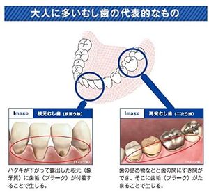 Butler F Paste α 90g