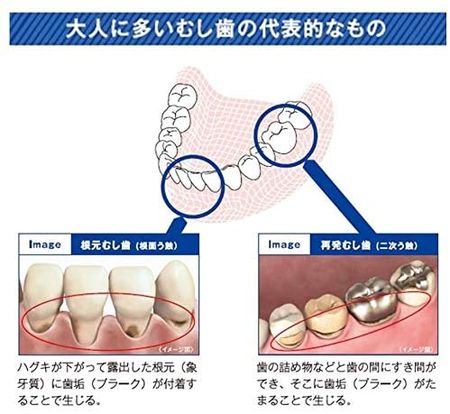 Butler F Paste α 90g