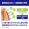 バトラーエフペーストα 90g