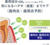 Butler F Paste α 90g