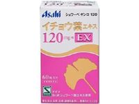 슈와베 징코 120 60정