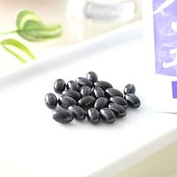 蓝莓提取物 60 天用量 120 片