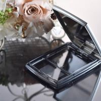FANCL Palette Case