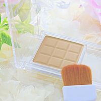 CANMAKE Shading Powder 4.4 g