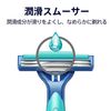 ジレット　カスタムプラスＥＸ首振式　１０本
