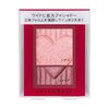 INTEGRATE 寬版大眼雙色眼影 PK373