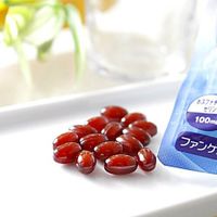 판클 PS(포스파티딜세린) 약 30일분 60정