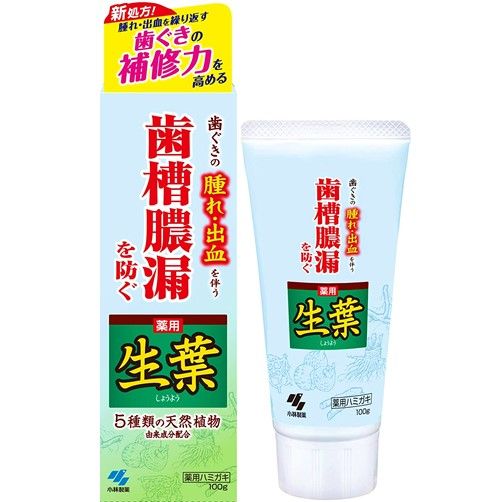 고바야시제약 쇼요 100g