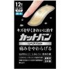 Cutban 修復墊，常規尺寸，12 片
