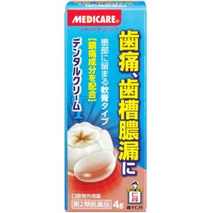 【第2類医薬品】メディケア デンタルクリームT 4g