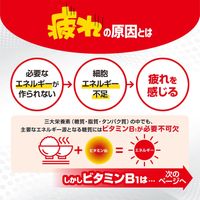 [3rd-Class OTC Drug] Arinamin EX plus (180 tablets)