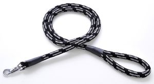 ＰＥＴＩＯ　ＢＰネオンプラスリード１２　ブラック