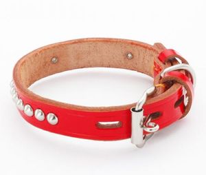 ＰＥＴＩＯ　ＢＬ手縫平首輪中一　２１ｍｍ　レッド