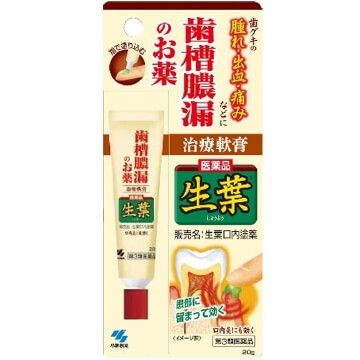 小林製藥 生葉 牙齦消腫消炎治療軟膏 20g【第3類醫藥品】