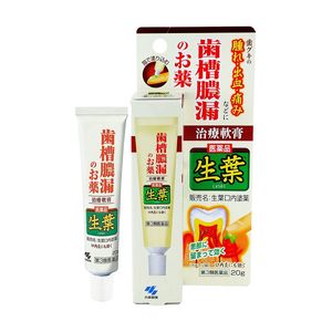【제3류 의약품】이키바 치약 구내 도포제 20g